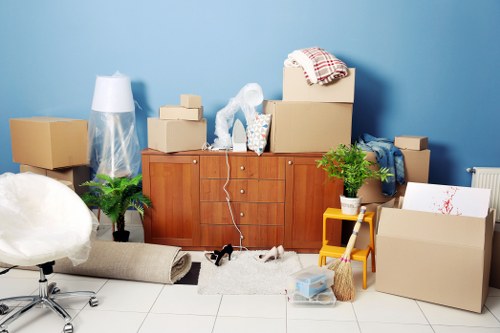 Removal team helping with a residential move in Pimlico