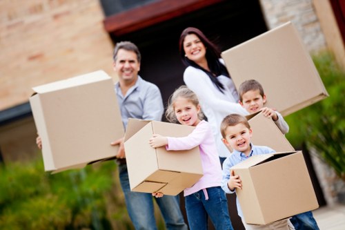 Careful box packing for fragile household items in Pimlico