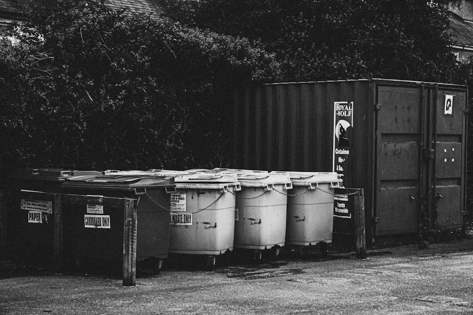 A row of five wheeled waste bins with closed lids, positioned on a paved area adjacent to a tall metal fence. The first bin is labelled 'PAPER' and the fifth, partially obscured, is marked 'LANDWASTE ONLY'. Behind the bins, there is a large shipping container with the 'Royal Molf' logo and a smaller sign displaying a black and white icon of a garbage bag. To the right of the bins, a black waste collection bin stands upright with a sign indicating waste disposal regulations. The background includes a dense area of trees and foliage, with diffused natural lighting. This scene depicts an outdoor waste disposal area, possibly near a property undergoing home relocation or moving services, such as those provided by Man and Van Pimlico, in accordance with waste disposal regulations for moving activities.